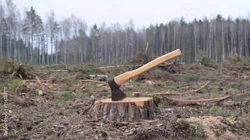 Wide view of axe in stump in deforested area. Wide angle view of an axe embedded in a pine stump, surrounded by clear-cut forest