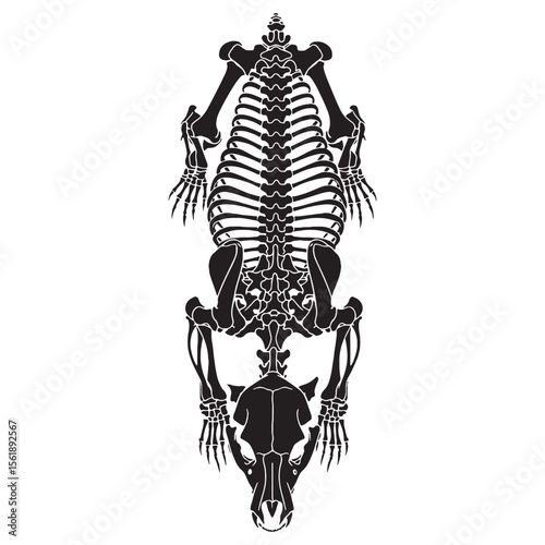 A tribute to mammalian power – Bear skeleton silhouette in natural Bear skeleton vector – Bear skeleton illustration

