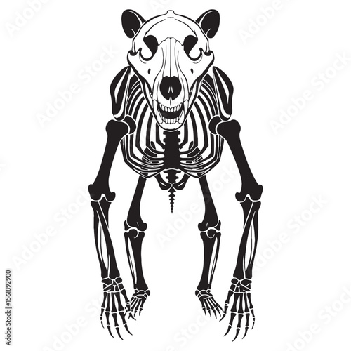 From wild to fossil – Bear skeleton silhouette crafted with precision Bear skeleton vector – Bear skeleton illustration


