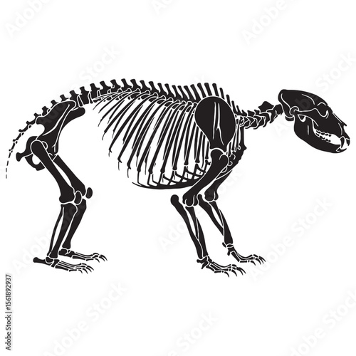 A powerful presence in bone – Bear skeleton silhouette in detailed Bear skeleton vector – Bear skeleton illustration

