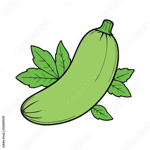 Zucchini illustration with leaves in a simple design. Fresh, vibrant green vegetable with green leaves against a white background.