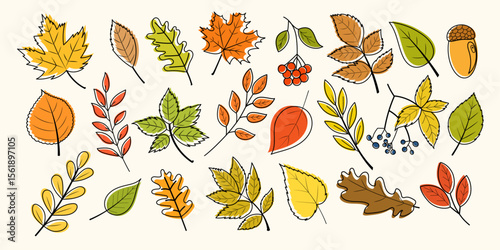Colorful autumn leaves and berries vector set. Hand-drawn seasonal elements perfect for fall designs, invitations, packaging, patterns, stickers, and greeting cards.