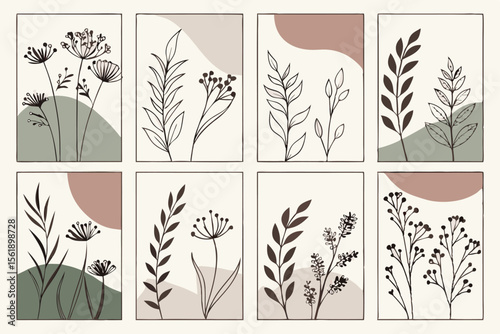 Set of eight minimalist botanical line art illustrations with abstract shapes
