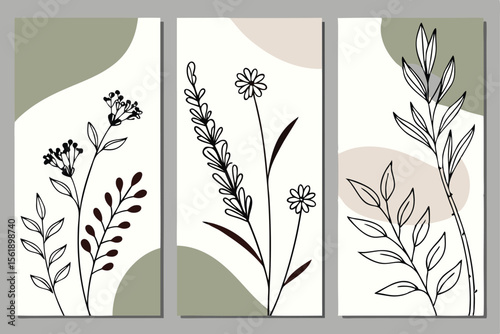 Triptych of minimalist botanical line art with abstract shapes