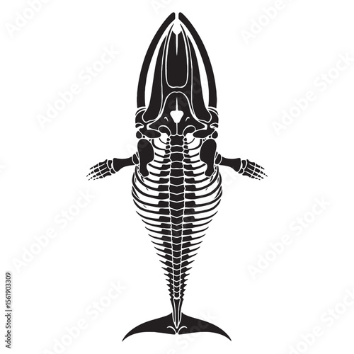 The grandeur of ocean life – Blue whale skeleton silhouette rendered with elegant Blue whale skeleton vector – Blue whale skeleton illustration

