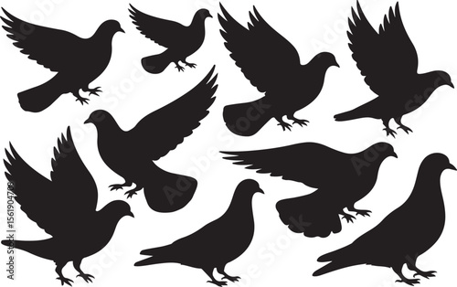 Collection of diverse pigeon and dove flying and standing silhouettes silhouette