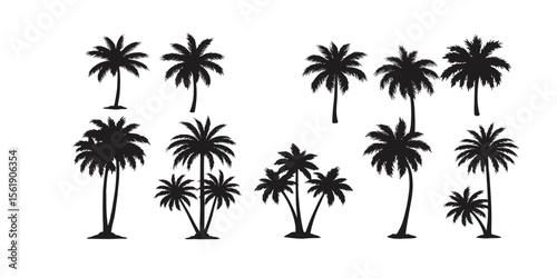 palm trees silhouettes, Vector  Palm, Vector, sun,