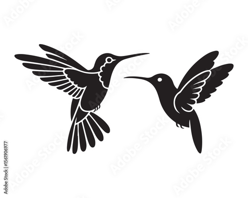 Two hummingbirds in flight with detailed wings and tails silhouette