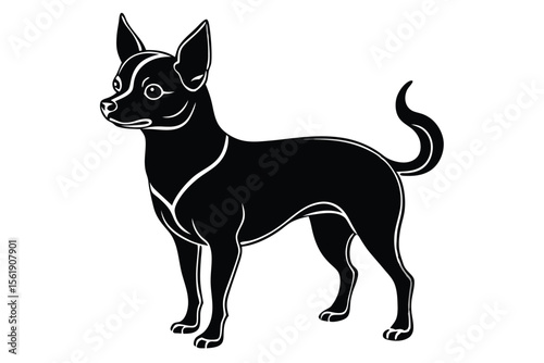 Black and white cute domestic animals isolated, a funny cat and puppy