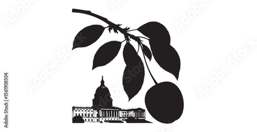 Single cherry on branch overlooking united states capitol building silhouette