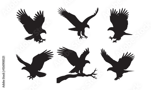 Collection of six distinct eagle silhouettes in various poses and actions silhouette