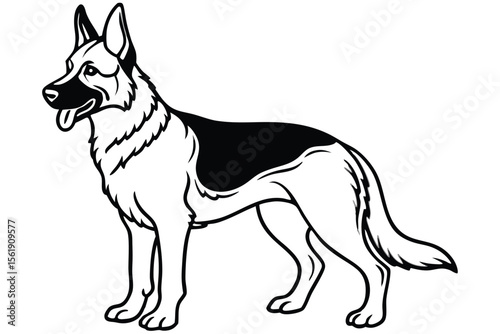 Black and white German Shepherd dog vector illustration