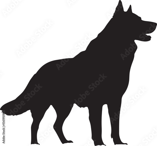 wolf black and white