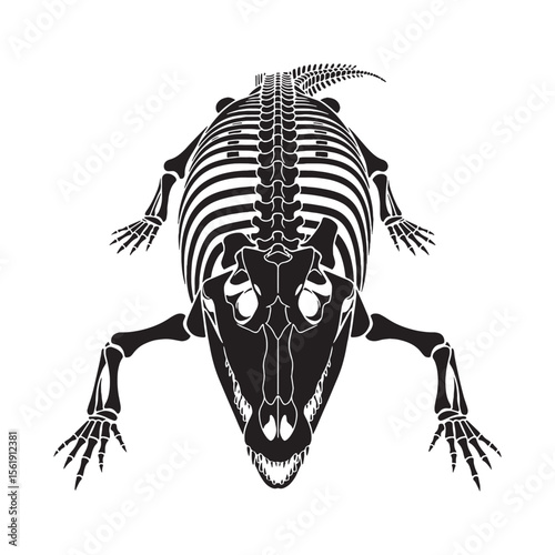 Ancient reptilian legacy – Crocodile skeleton silhouette with fine Crocodile skeleton vector – Crocodile skeleton illustration

