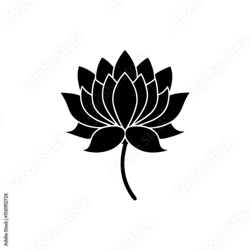 creative details Outline silhouette lotus icon sign vector