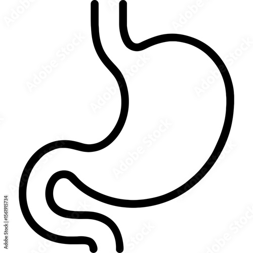 Human stomach outline icon vector