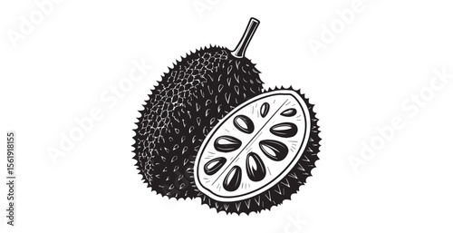 Jacksons fruit silhouette with a slice showing seeds and pulp
