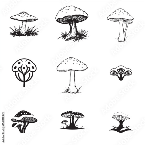 set of medicinal mushroom vector bundle pack collection