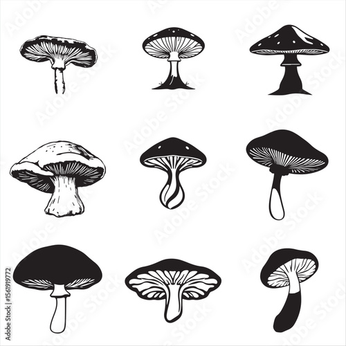set of medicinal mushroom vector bundle pack collection