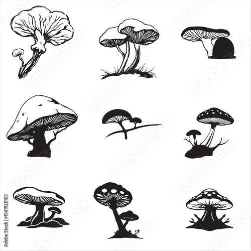 set of medicinal mushroom vector bundle pack collection