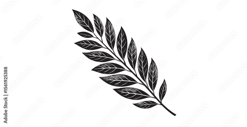 Fototapeta premium Detailed black and white leaf branch illustration silhouette