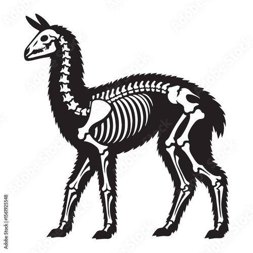 Refined lines reflect ancient endurance – Lama skeleton silhouette with structured Lama skeleton vector – Lama skeleton illustration

