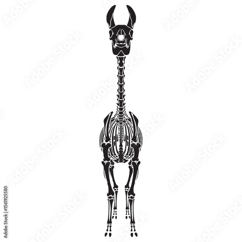 Artful skeletal balance – Lama skeleton silhouette and bold Lama skeleton vector – Lama skeleton illustration

