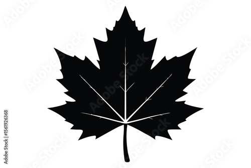 Silhouette of a Maple Leaf Nature's Autumn Icon