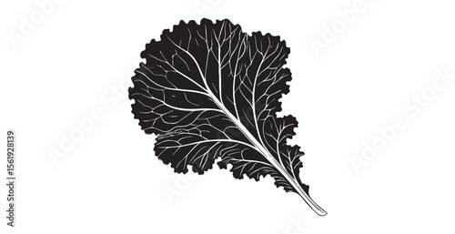 Detailed black and white illustration of a kale leaf silhouette