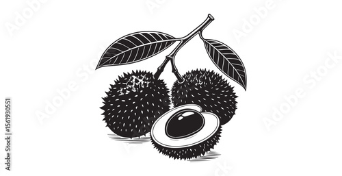 Two spiky tropical fruits with leaves and one cut open silhouette