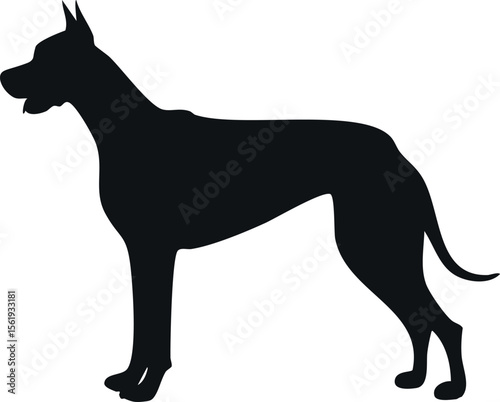 Great dane dog silhouette illustration