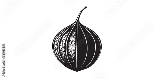 Intricate black and white botanical illustration of a seed pod silhouette