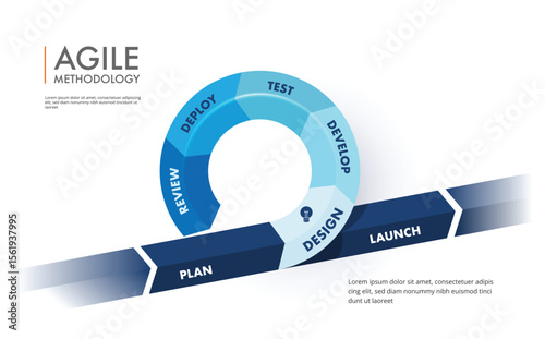 Agile methodology sprint life cycle chart. infographic software development. vector