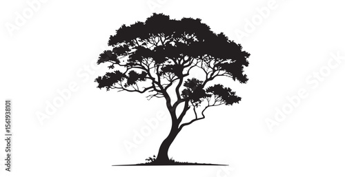 Elegant black silhouette of a spreading tree with lush foliage