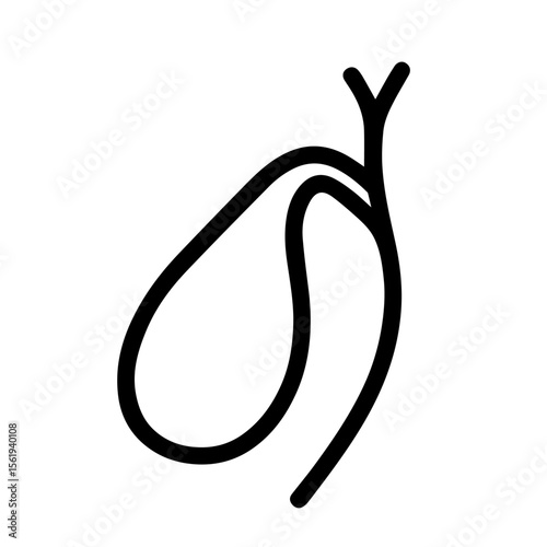 anatomical gallbladder icon vector on white background
Human anatomical organ