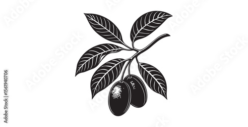 Detailed black and white illustration of an olive branch with two olives silhouette
