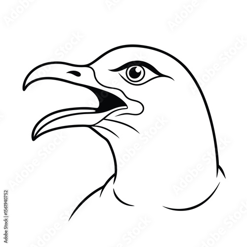 Fotografie angry seagull head in squawk motion and open beak version one on white backgroun