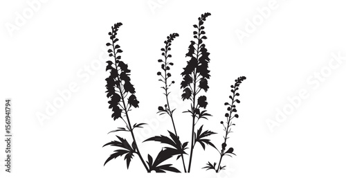 Tall delphinium flowers in a stylized black and white silhouette