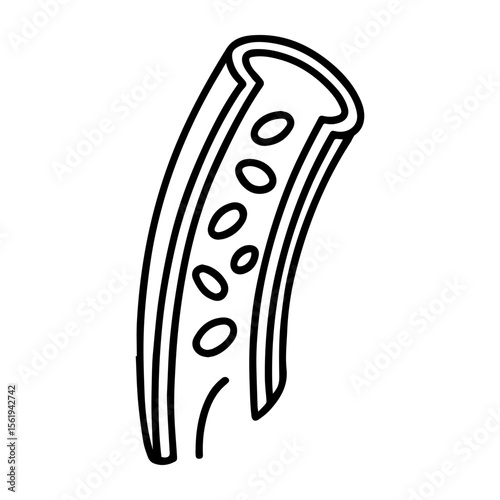 anatomical artery icon vector on white background
Human anatomical organ