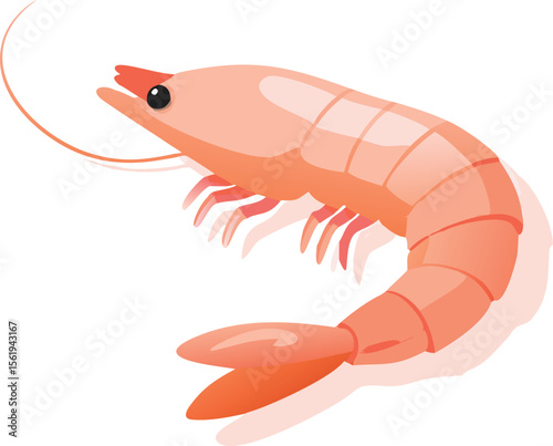 detailed digital art illustration, large shrimp, dark blue outline, intricate details, realistic anatomy, vibrant colors, textured surface, dynamic pose, sharp focus, cinematic lighting

