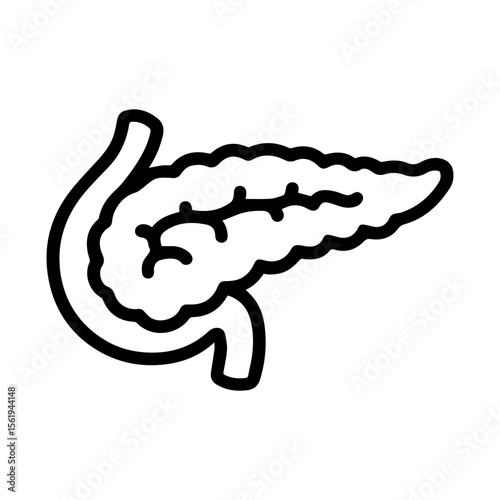 anatomical pancreas icon vector on white background
Human anatomical organ