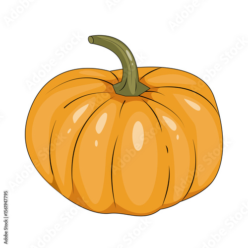 Bright orange pumpkin for decorating a holiday or event