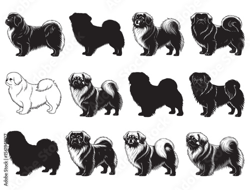 TIBETAN SPANIEL DOG SILHOUETTE