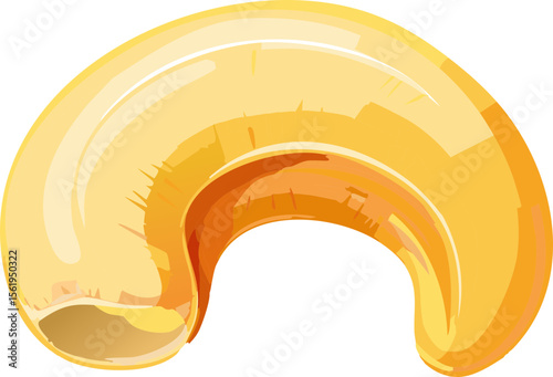 Cashew Nut Vector – Realistic Yellow Cashew Kernel Illustration