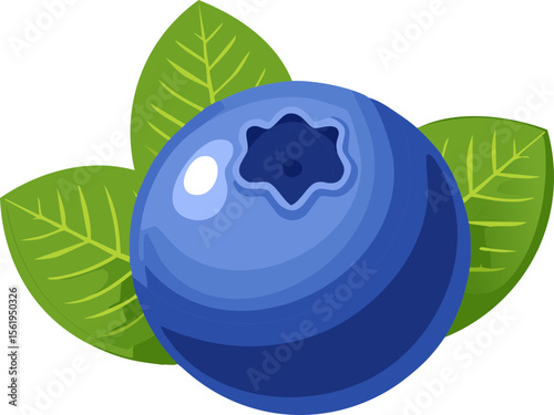 Blueberry Vector – Fresh Blue Berry with Leaves Illustration