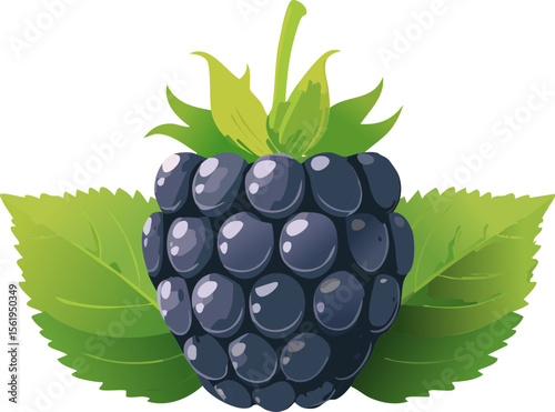 Blackberry with Green Leaves – Fresh Berry Fruit Illustration