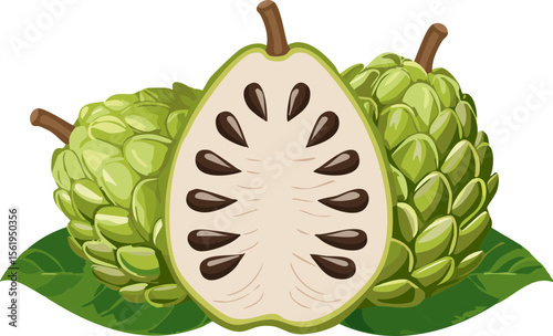Cherimoya (Custard Apple) Fruit with Leaves – Exotic Tropical Fruit Illustration