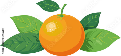 Clementine Fruit with Green Leaves – Fresh Citrus Vector Illustration