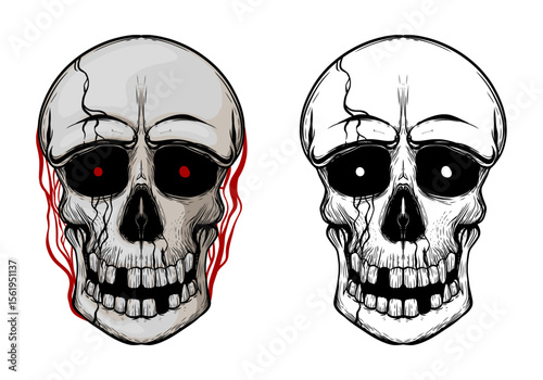 Two Cartoon Skulls Illustration with Cracks and Detailed Teeth, Left Skull with Glowing Red Eyes and Veins, Right Skull in Black and White Sketch Style with Dark Eye Sockets