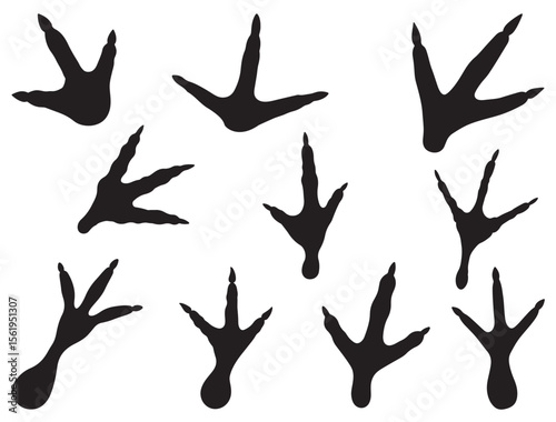 TURKEY FOOTPRINT SILHOUETTE